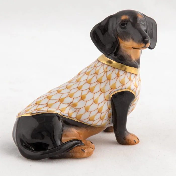 Dachshund with Sweater- Butterscotch