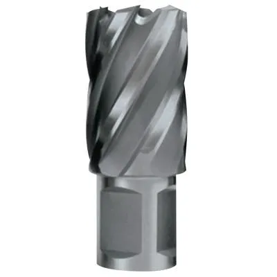Evolution Cyclone Annular Cutters, 7/8 in Dia, Twist Point, High-Speed Steel, CC875