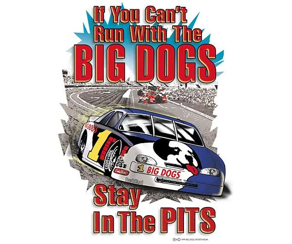 Stay In The Pits Stock Car T-Shirt